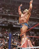 Ultimate Warrior9