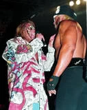 Ultimate Warrior15