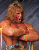 Ultimate Warrior27