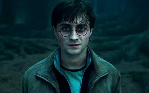 DH - Harry Potter-Forbidden Forest.jpg