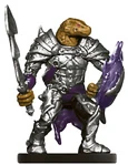 Dragonborn Paladin