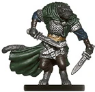 Rakshasa Assassin