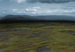 Battlebg-ffvii-swamp