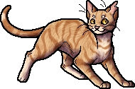 Dawnpaw Avatar