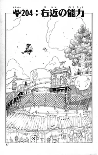 Chapter 204