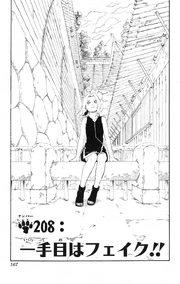 Chapter 208