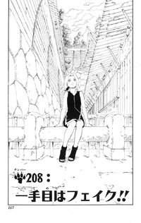 Chapter 208
