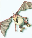 Pterodact