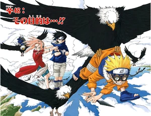 Chapter 048