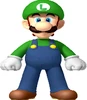 SmallLuigiMarioFlash
