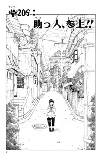 Chapter 209