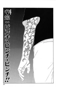 Chapter 212