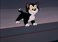 Figaro pleased