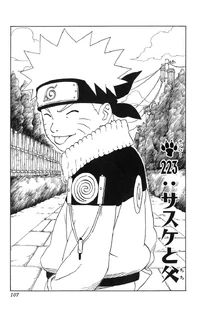 Chapter 223