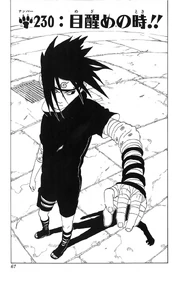 Chapter 230