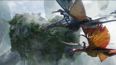 Avatar br 2338 20100627 1641717408