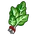 Swiss Chard-icon