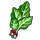 Swiss Chard-icon