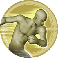 Skill Level Emblem