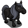 Black Pony-icon.png
