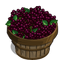 Elderberry Bushel-icon