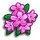 Alpine Rose-icon