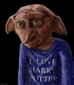 Dobby the man.jpg