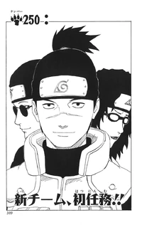 Chapter 250