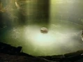 HeartIsland m.jpg