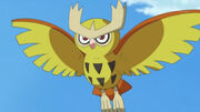 Noctowl de Ash.