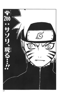 Chapter 266