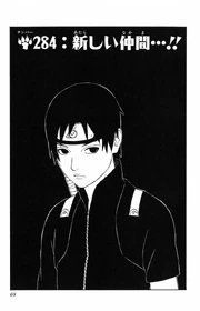 Chapter 284