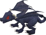 Baby blue dragon old