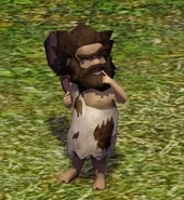 Troglodyte
