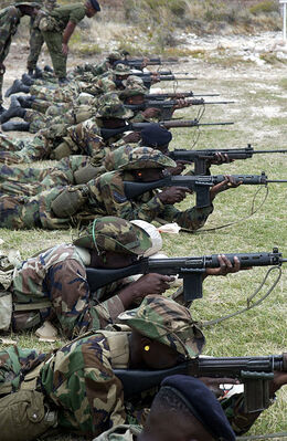 391px-FN FAL DA-SD-04-01067