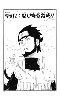 Chapter 312