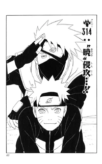 Chapter 314