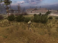 DV