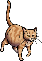 Die WindClan-Chroniken Goldenflower.queen