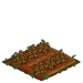 Lemon Balm withered