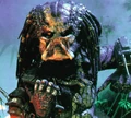 Classic Predator