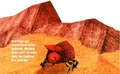 Firebug2