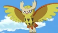 Ash's Noctowl.png