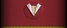 Sleeve insignia.