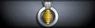 Sleeve insignia.