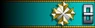 Shoulder insignia.