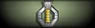 Sleeve insignia.