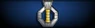 Sleeve insignia.