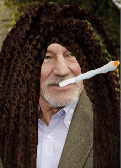 Modern pacard