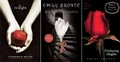 Twilight-bronte-covers l.jpg